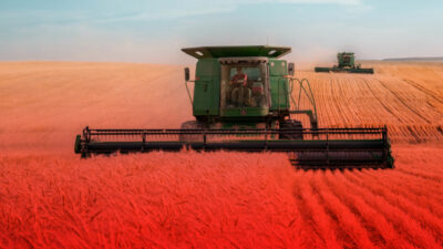 Mardin’de 60 dönüm ekili buğday yandı Lorem ipsum gibi yapay metinler yerine, gerçek anlam taşıyan bu